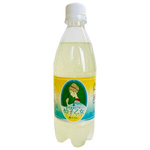 Ante(Ae) 򓒗OTC_[ Mq 500mlybg{g×24{b  Y_ TC_[ 䂸 Mq
