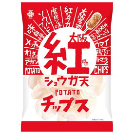 アイデアパッケージ 大阪 紅ショウガ天 ポテトチップス 90g×5袋入×(2ケース)｜ 送料無料 お菓子 おやつ スナック菓子 ポテチ