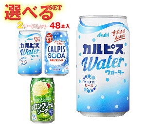 ATq JsXEH[^[EJsX\[_ Iׂ2P[XZbg 350g×48(24×2){b  JsX \[_ Y_