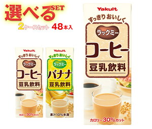 Ng bN~[ Iׂ2P[XZbg 200mlpbN×48(24×2){b  R[q[ oii 