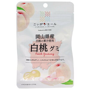 JAS_ jb|G[ RY O~ 40g×10ܓb  َq O~ Y {Y S_