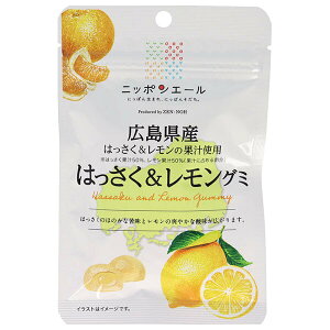 JA全農 ニッポンエール 広島県はっさく&レモン グミ 40g×10袋入×(2ケース)| 送料無料 お菓子 グミ 国産 日本産 全農