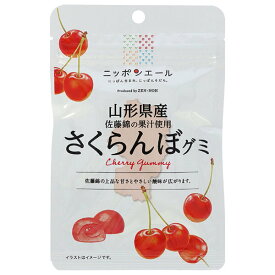 JA全農 ニッポンエール 山形県産さくらんぼ グミ 40g×10袋入｜ 送料無料 お菓子 グミ 国産 日本産 全農