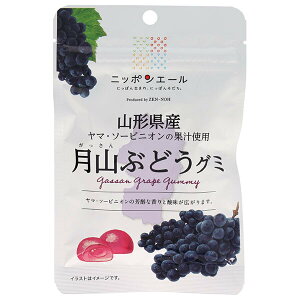 JAS_ jb|G[ R`YRԂǂ O~ 40g×10ܓb  َq O~ Y {Y S_
