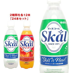 ����{���_���� �X�R�[�� �l�ߍ��킹�Z�b�g 500ml�y�b�g�{�g��×24(2��×12)�{���b �������� �Y�_���� ���� PET