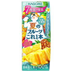 JS Ẵt[c{ pC&VgXuh 200mlpbN×24{×(2P[X)b  ʎ t[c ~bNXW[X W[X