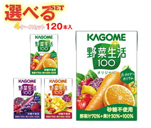 JS ؐ100 Iׂ4P[XZbg 100mlpbN×120(30×4){b  ؃W[X IWi x[T_ }S[T_