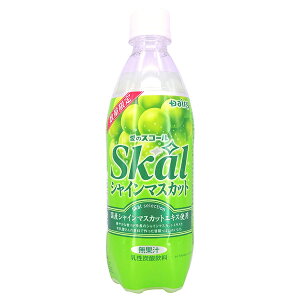 ����{���_���� �X�R�[�� �V���C���}�X�J�b�g 500ml�y�b�g�{�g��×24�{��×(2�P�[�X)�b �������� �Y�_���� ���� PET �}�X�J�b�g Skal