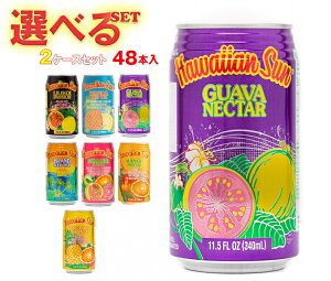 [hItWp nCAT lN^[&eB[ Iׂ2P[XZbg 340ml×48(24×2){b  lN^[ ʏ` ACXeB[ t[c