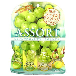 { VC}XJbg A\[g LfB 85g×10ܓb  َq    Y ʏ` }XJbg t[c LfB[