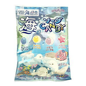 { C̃\[_CANDY 80g×10ܓb  َq    t[c t[cLfB[ ʏ` \[_ {c Agi R{