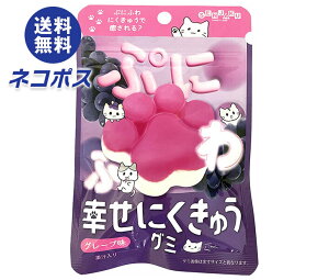 lR|X { KɂイO~ O[v 30g×6ܓb S َq O~  ʏ`  GAC ɂイO~ O[v