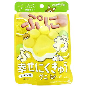 { KɂイO~  30g×6ܓ×(2P[X)b  َq O~  ʏ`  GAC ɂイO~ 