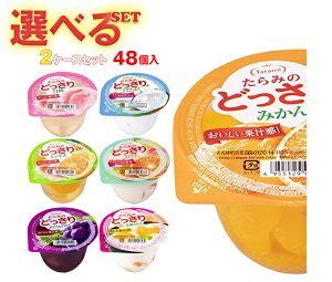  ݂̂ǂ Iׂ2P[XZbg 230g×48(24×2){b  [[ ǂ I Mtg َq  _CGbg t[c[[