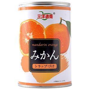 Omʏ ݂ 425g×24×(2P[X)b  ʋl t[c ʎ  ݂