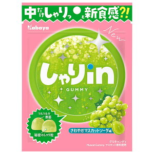 Jo inO~ }XJbg\[_ 52g×10ܓ×(2P[X)b  َq O~  VH