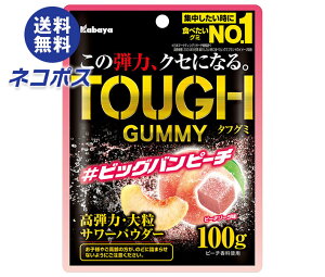 lR|X Jo ^tO~ rbOos[` 100g×6ܓb S َq O~  TOUGH e͑嗱T[ 