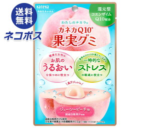 lR|X JlJHi JlJQ10ʎO~ W[V[s[` 40g×10ܓb S O~ ʏ` W `bNt RGUC @\\Hi XgX 邨  s[`