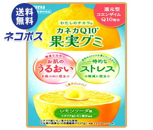 �l�R�|�X �J�l�J�H�i �J�l�JQ10�ʎ��O�~ �������\�[�_�� 40g×10�ܓ��b �S���������� �O�~ �ʏ` �W���� �`���b�N�t �R�G���U�C�� �@�\���\���H�i �X�g���X ���邨�� ������