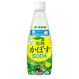 伊藤園 ニッポンエール 大分県産完熟かぼすソーダ 410mlペットボトル×24本入×(2ケース)｜ 送料無料 フルーツ 完熟 かぼす ソーダ