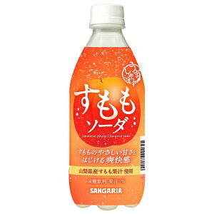 �T���K���A ���܂���� �������\�[�_ 500ml�y�b�g�{�g��×24�{��×(2�P�[�X)�b �������� �Y�_���� �t���[�c PET ������ �R�����Y