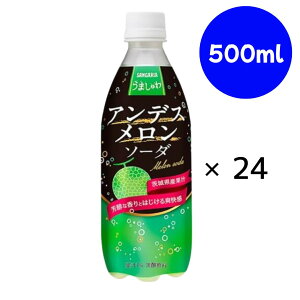 ܂ AfX\[_ 500ml×24{@yTKAz