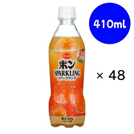 POM ポンスパークリング PET 410ml×24本×(2ケース)　えひめ飲料