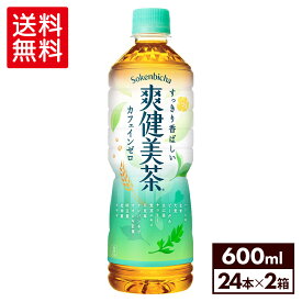 【コカ・コーラ製品10％OFFクーポン 4/30 23:59まで】コカ・コーラ 爽健美茶 600ml ペットボトル 24本入り×2ケース【送料無料】