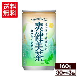 コカ・コーラ 爽健美茶 160g 缶 30本入り×3ケース【送料無料】