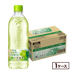 コカ・コーラ い・ろ・は・す シャインマスカット 540mlペットボトル 24本