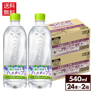 RJER[ EÉE nXJbv 540ml ybg{g 24{×2P[XyzkCHꐻ