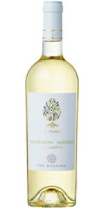 T }c@[m C v[ \[Bj }@W[A 750ml 1P[X12{Zbg  C C^A v[A Tg C   ƈ  ӎ  