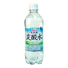 サンガリア 伊賀の天然水炭酸水 500ml 2ケース48本セット 送料無料 ペットボトル PET 炭酸 割り材 ソーダ スパークリング 炭酸飲料 飲料 飲み物 ドリンク ソフトドリンク おすすめ おいしい まとめ買い ギフト プレゼント 贈り物 お祝い 内祝い お返し 誕生日