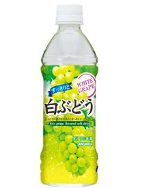 サンガリア すっきりと白ぶどう 500ml 2ケース48本セット 送料無料 ペットボトル PET 果実飲料 ジュース 果汁飲料 ぶどう グレープ ソフトドリンク 飲料 飲み物 ドリンク おすすめ おいしい まとめ買い ギフト プレゼント 贈り物 お祝い 誕生日 内祝い お返し