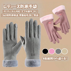  fB[X  h X}zΉ ≏ r rj[ ێ y360xhۉEN38Pz  RR  t@[ ӂӂ g N O[u ㎿