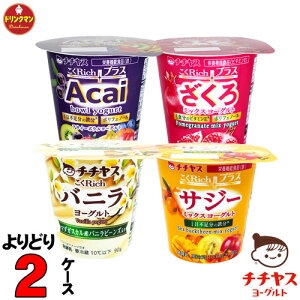 Iׂ ``X Rich [Og 90g × 12 × 2P[X (v24) iꕔnj