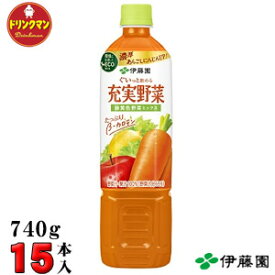 ペットボトル 伊藤園 野菜ジュース 充実野菜 緑黄色野菜ミックス PET 740g×15本 あす楽対応