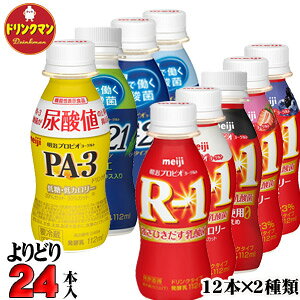 Iׂ R1  vrI [Og hN^Cv R-1 LG21 PA-3 e킩2ނI v24{ iꕔnjN[