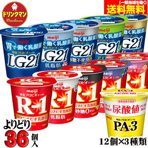 Iׂ R1  vrI [Og Hׂ^Cv R-1 LG21 PA-3 e킩3ނIie12j v36 iꕔnjN[