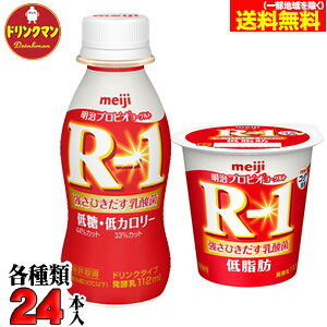 R1  [OgR-1 hN ^Cv ᓜEJ[ R-1ᎉbZbg e24iv48j iꕔnjN[