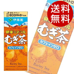 健康ミネラル麦茶 紙パック 250ml 48本 送料無料 伊藤園 むぎ茶【送料無料】※北海道・沖縄・離島を除く