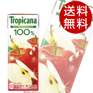 L gsJ[i 100 Abv 250ml×48{  KIRIN W[X ybg{g t[cW[Xwiꕔn揜jx