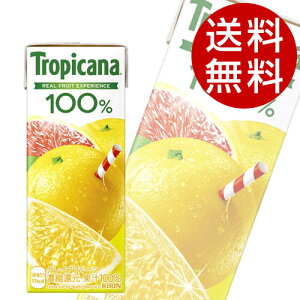 L gsJ[i 100 O[vt[c 250ml×48{  KIRIN W[X ybg{g t[cW[Xwiꕔn揜jx