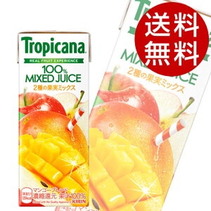 L gsJ[i100}S[uh 250ml×48{  KIRIN W[X pbN t[cW[Xwiꕔn揜jx