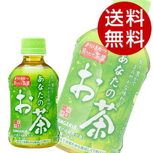 Β 280ml PET Ȃ̂ 48{ TKAwiꕔn揜jx