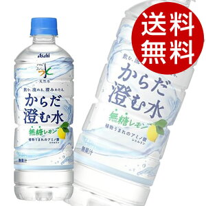  VR 炾ސ  600ml 48{ ATqwiꕔn揜jx
