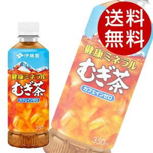 N~lނ 350ml 48{ ɓwiꕔn揜jx