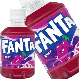 y10OFFN[|z[]RJR[ t@^O[v 280mlPET×24{kCAA͑ΏۊOy2`3cƓȓɏoׁz