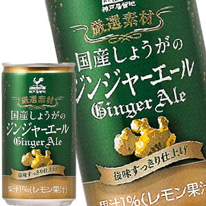 _ˋn Y傤̃WW[G[ 185ml×60{m20{×3nkCAA͑ΏۊOmܖF4ȏnmny1017o׊Jnz