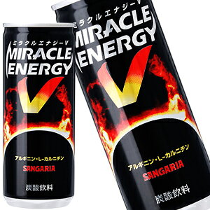 サンガリア ミラクルエナジーv 250g 60本 缶 炭酸飲料 エナジードリンク 価格比較 価格 Com サンガリア ミラクルエナジーv 250g 60本 缶 炭酸飲料 エナジードリンク 価格比較 価格 Com